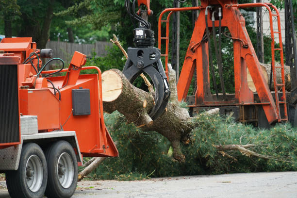 Lawn Drainage Solutions in Plano, KY